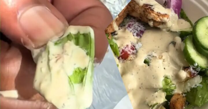 Arizona Salad Spider