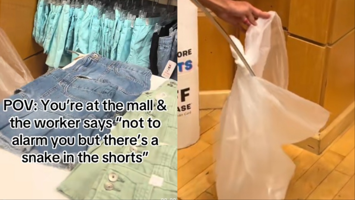 Georgia Shopping Snake