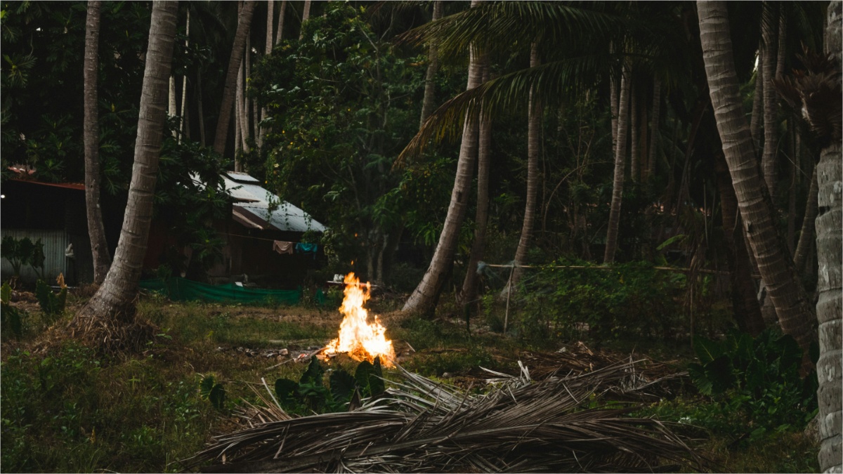 Virginia VDOF seasonal open burning restrictions